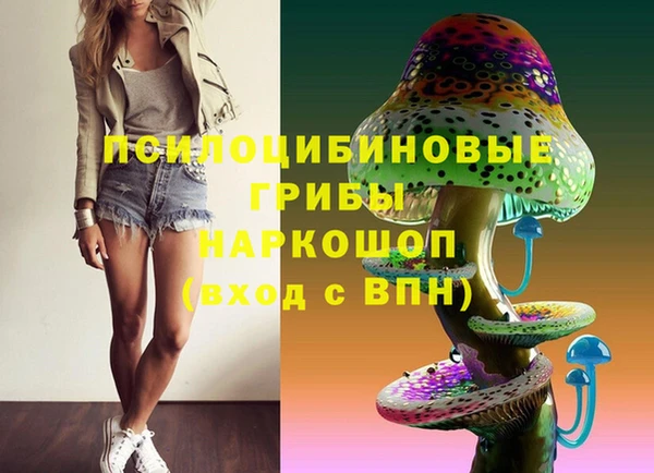бошки Бородино