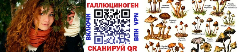Галлюциногенные грибы Magic Shrooms  Купить где  Корсаков 